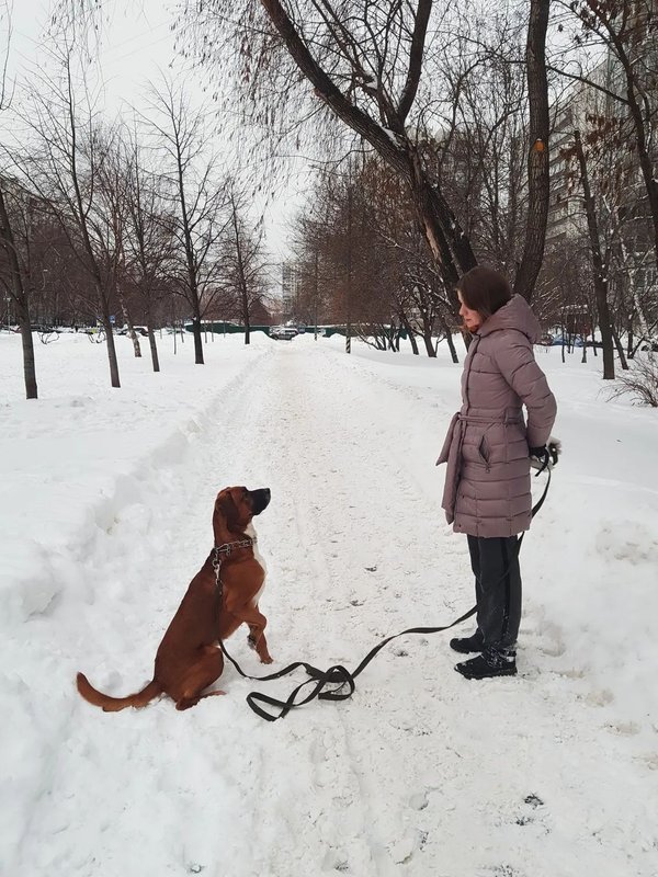Фото врача