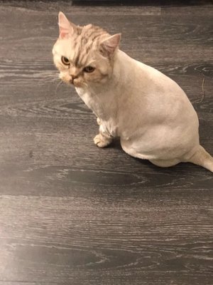 Фото врача Яценко Наталья Евгеньевна