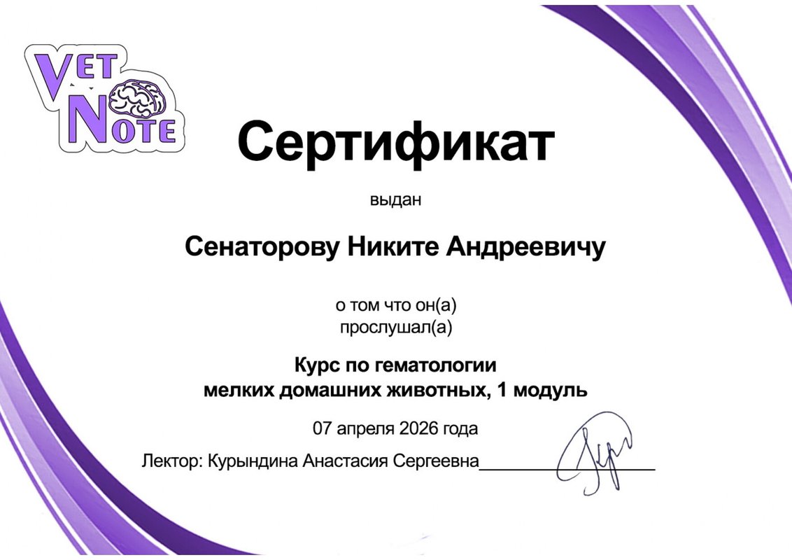 Документ или сертификат