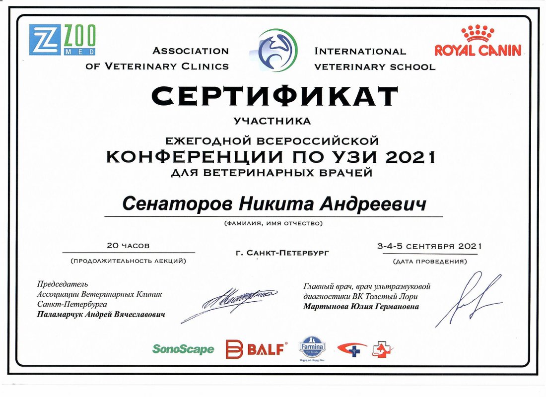 Документ или сертификат