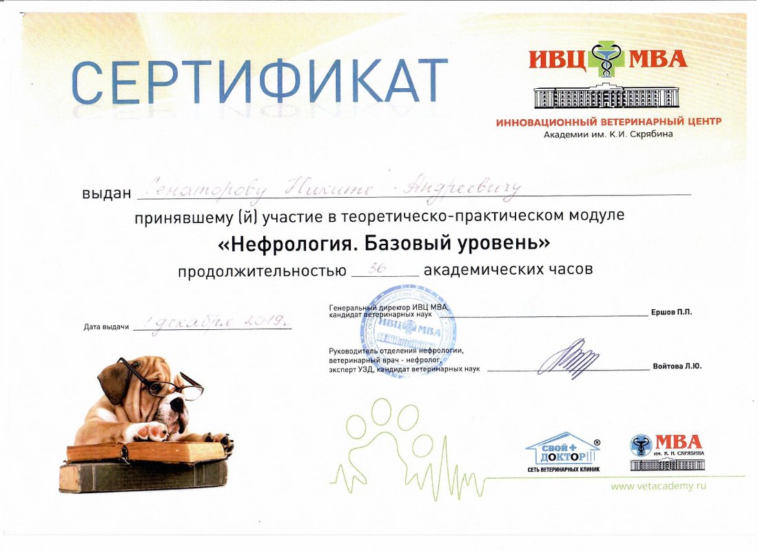 Документ или сертификат