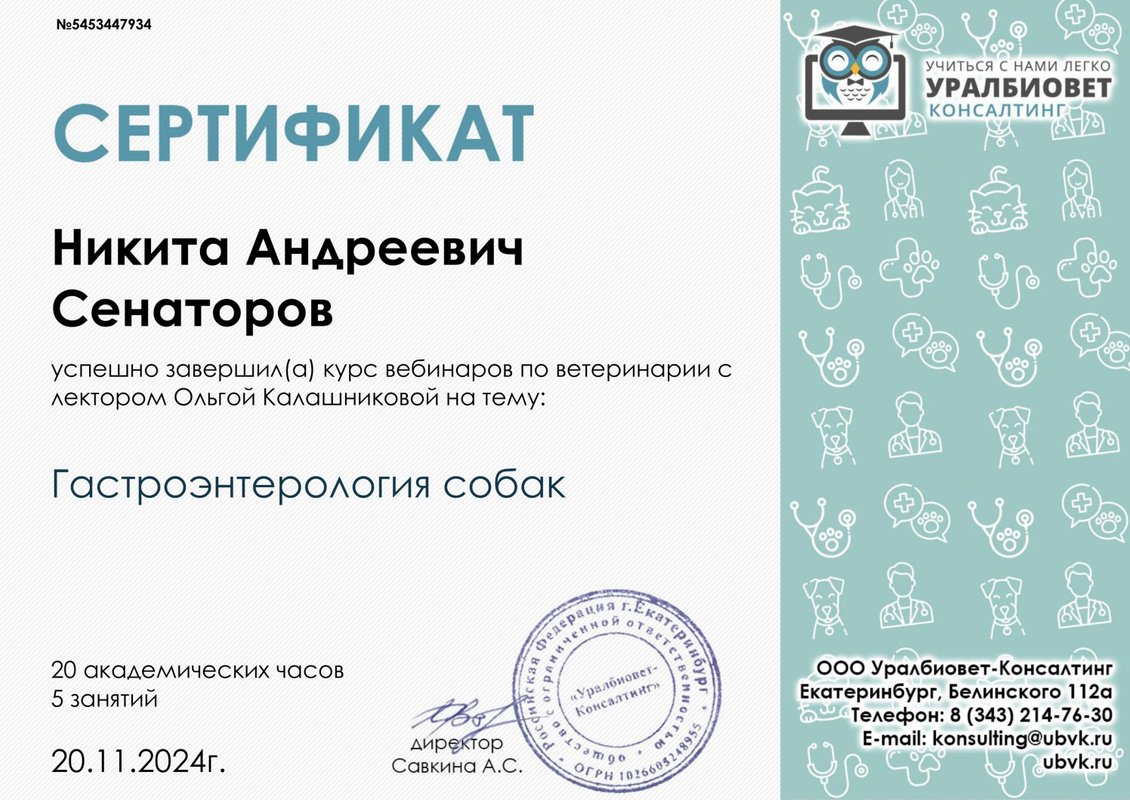 Документ или сертификат