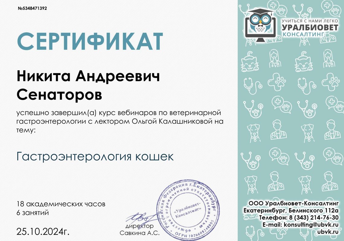 Документ или сертификат