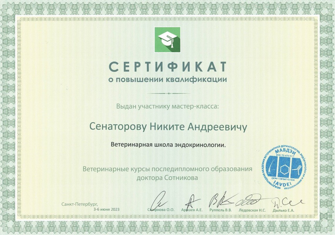 Документ или сертификат