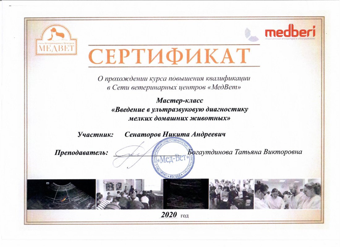 Документ или сертификат