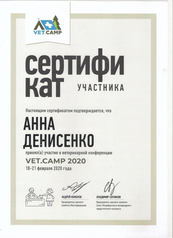Документ или сертификат