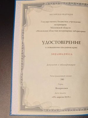 Фото врача Киселев Евгений Александрович