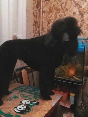 Фото врача Лукашкина Ольга Юрьевна
