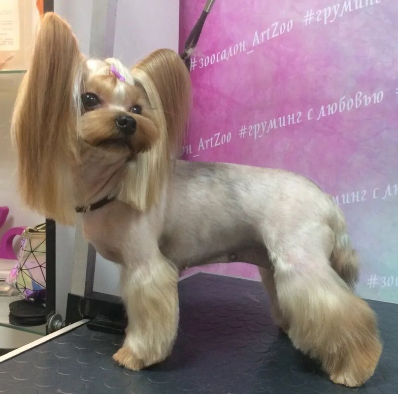 Фото врача