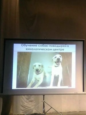 Фото врача Царегородцева София Павловна