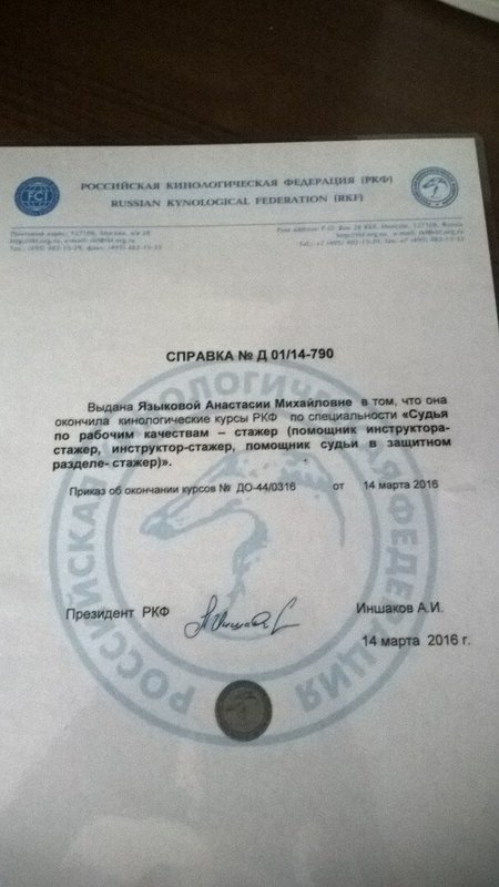 Документ или сертификат