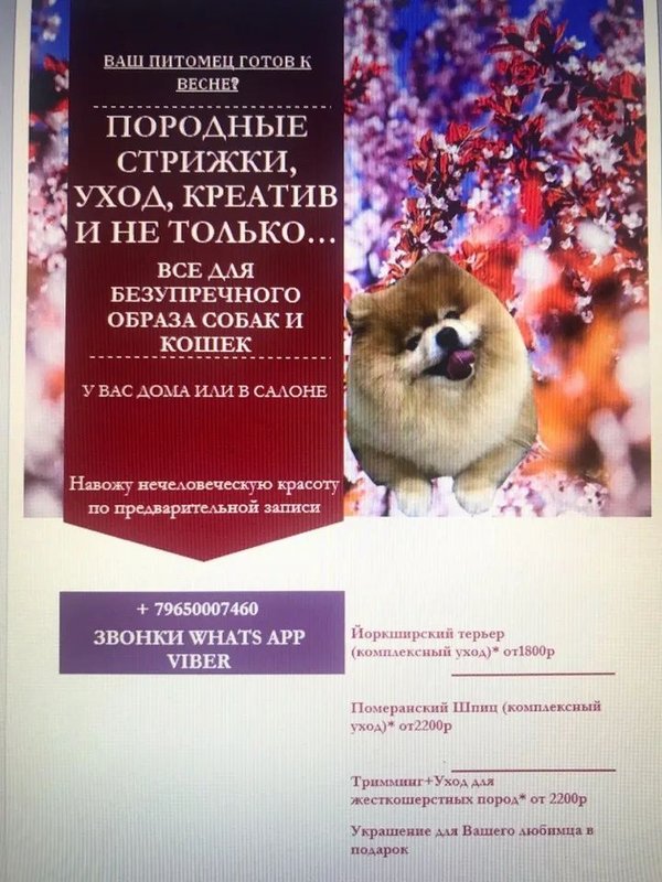 Фото врача