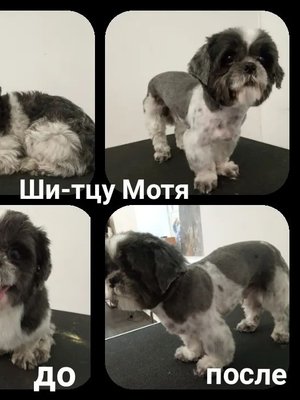 Фото врача Галкина Мария Вадимовна