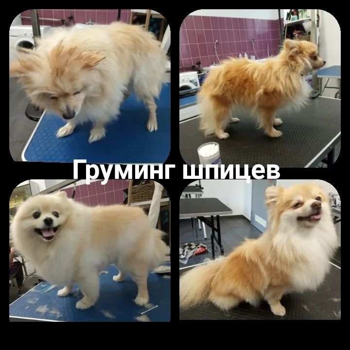 Фото врача