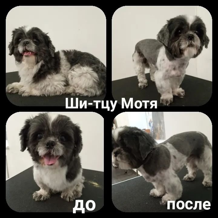 Фото врача