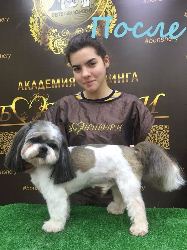 Фото врача