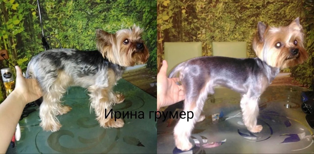 Фото врача