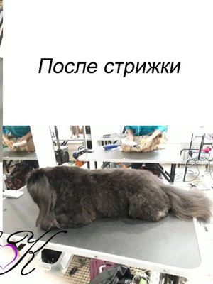 Фото врача Ковалева Елена Викторовна