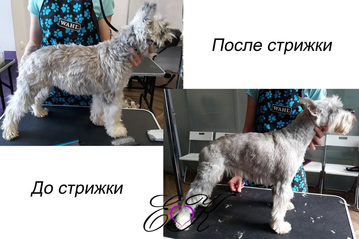 Фото врача