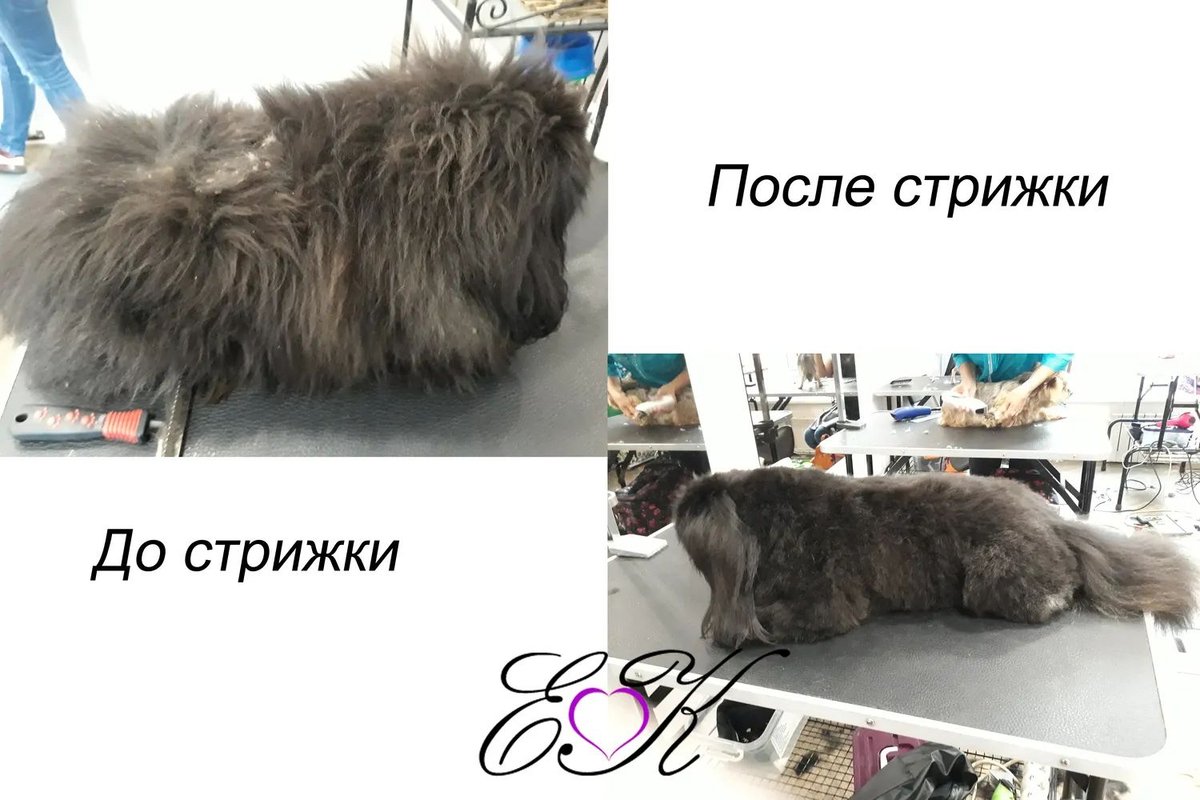 Фото врача