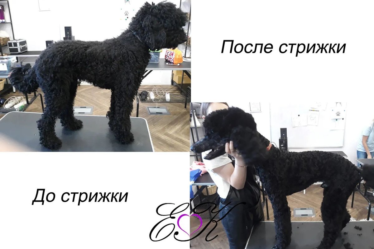 Фото врача