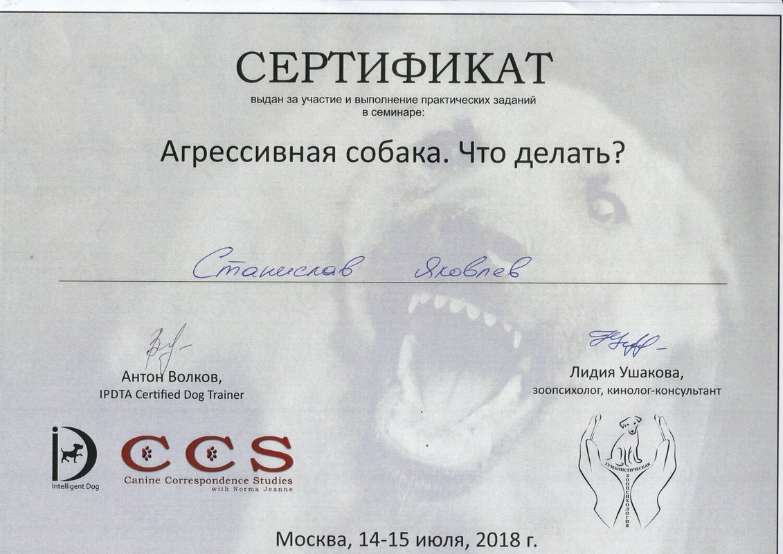 Документ или сертификат