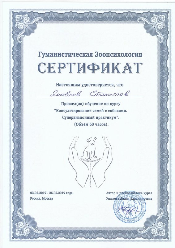 Документ или сертификат