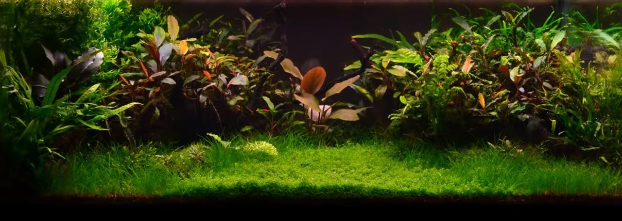 Фото врача