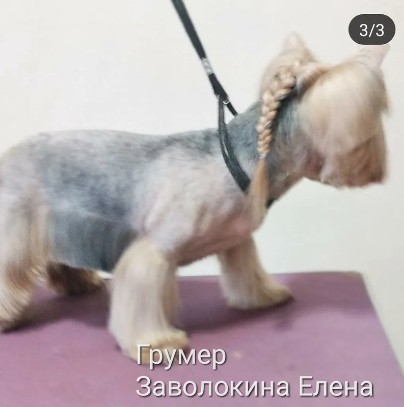 Фото врача