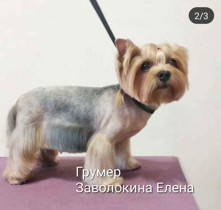 Фото врача
