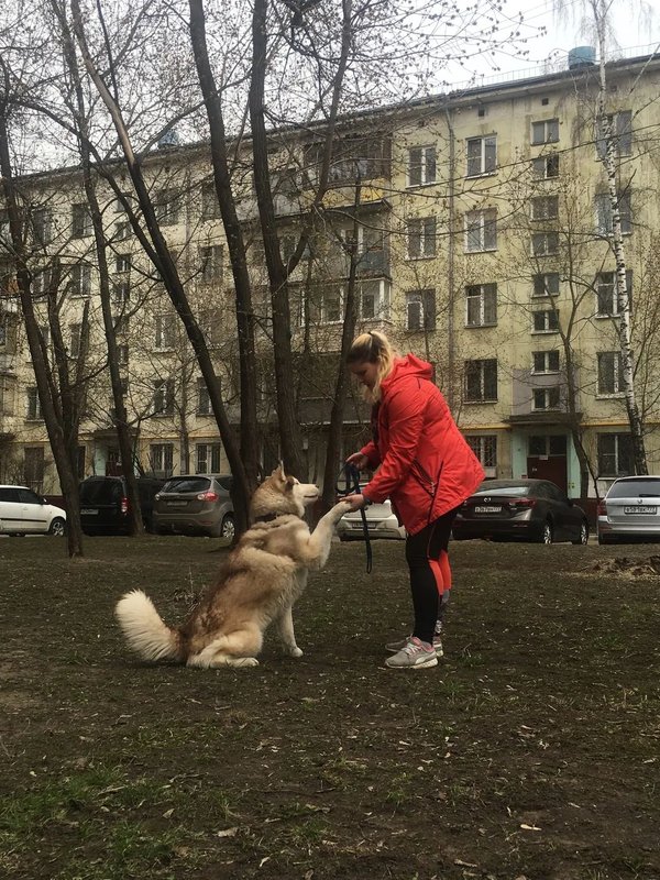 Фото врача