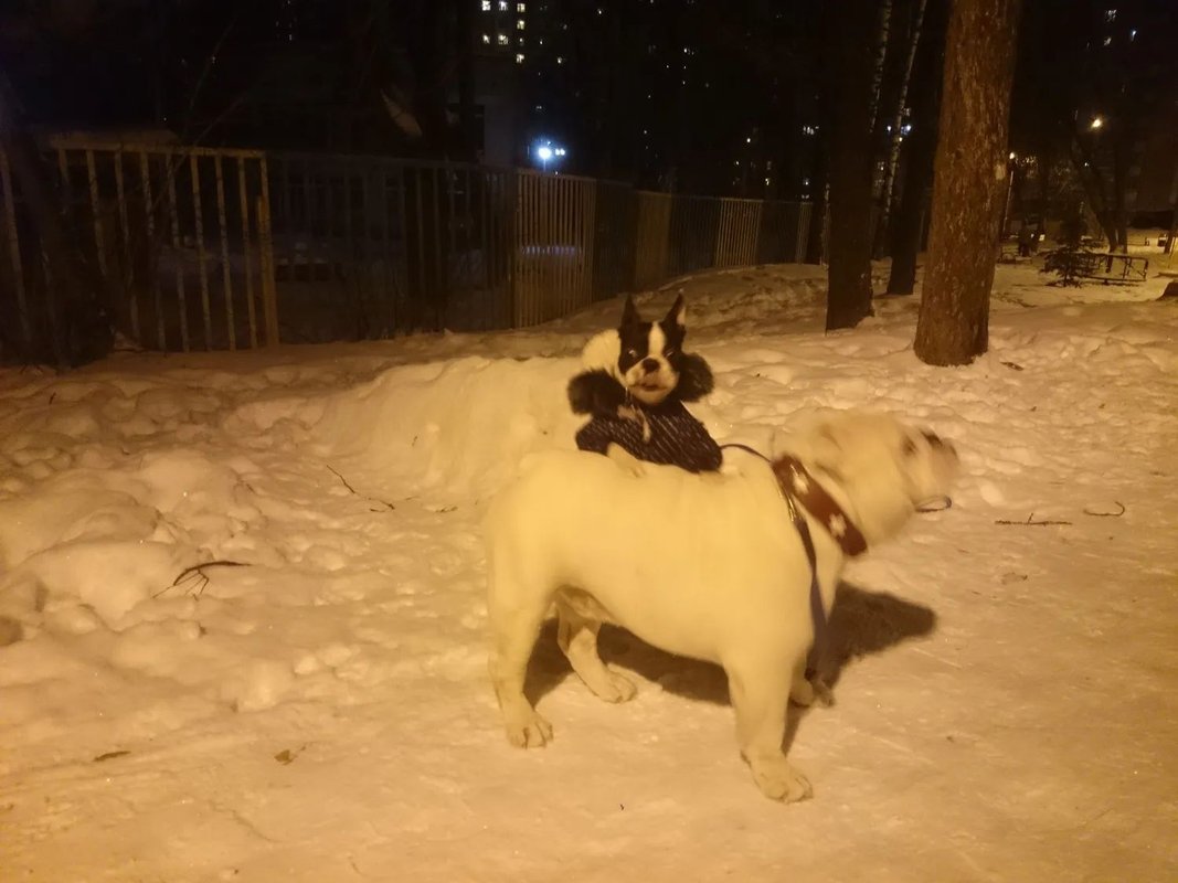 Фото врача