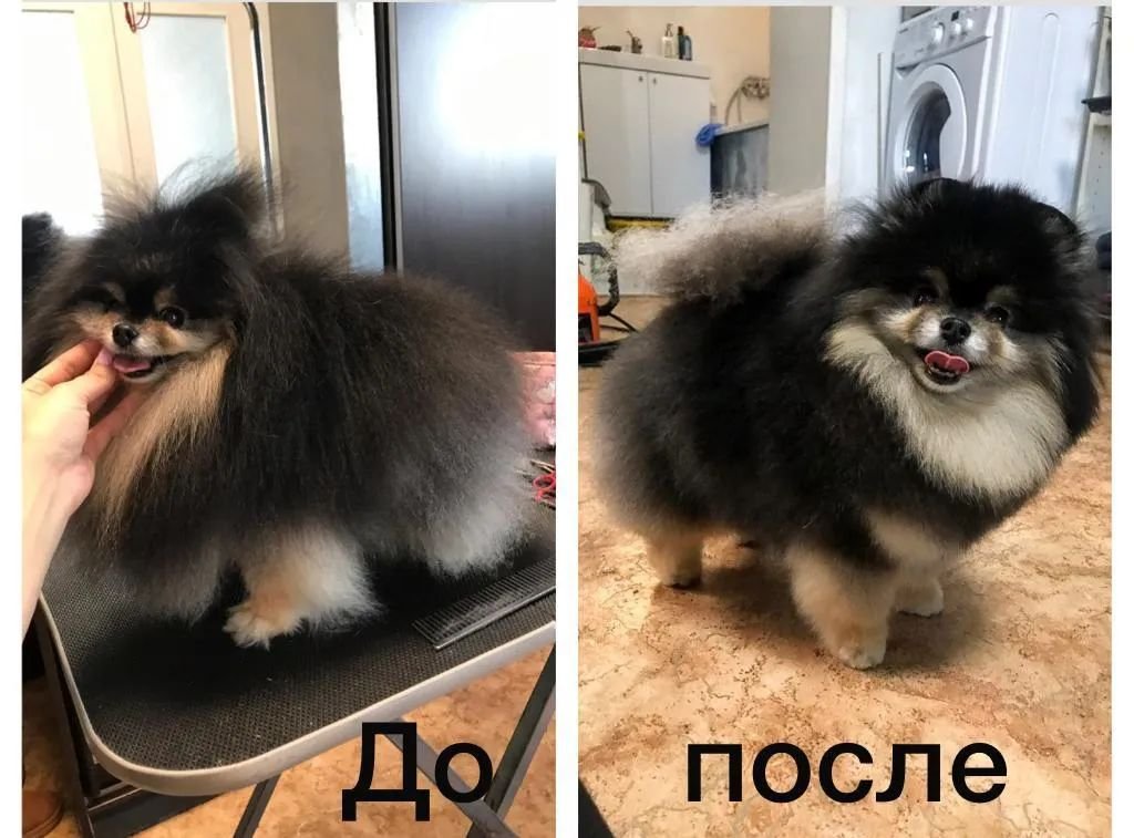 Фото врача
