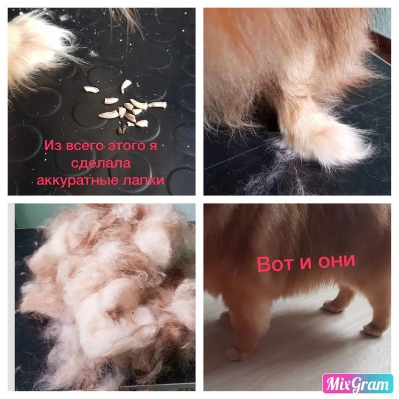 Фото врача