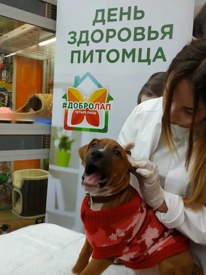 Фото врача Алиева Мия Акифовна