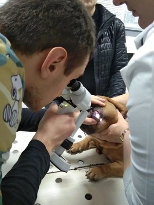 Фото врача Полянский Егор Андреевич