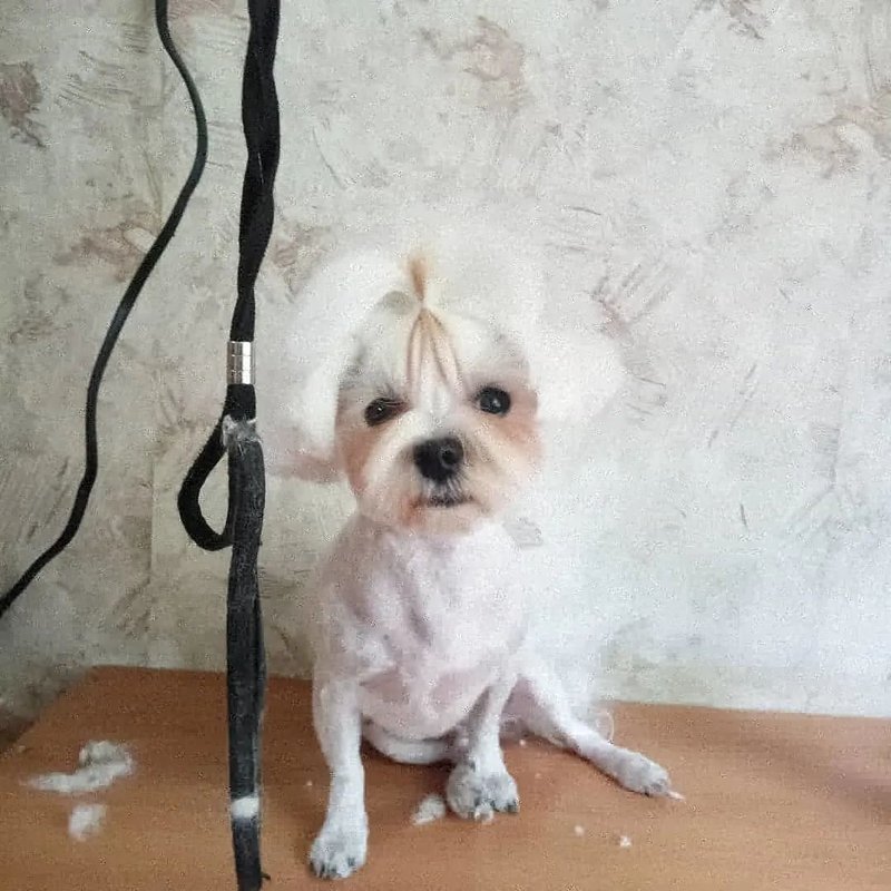 Фото врача