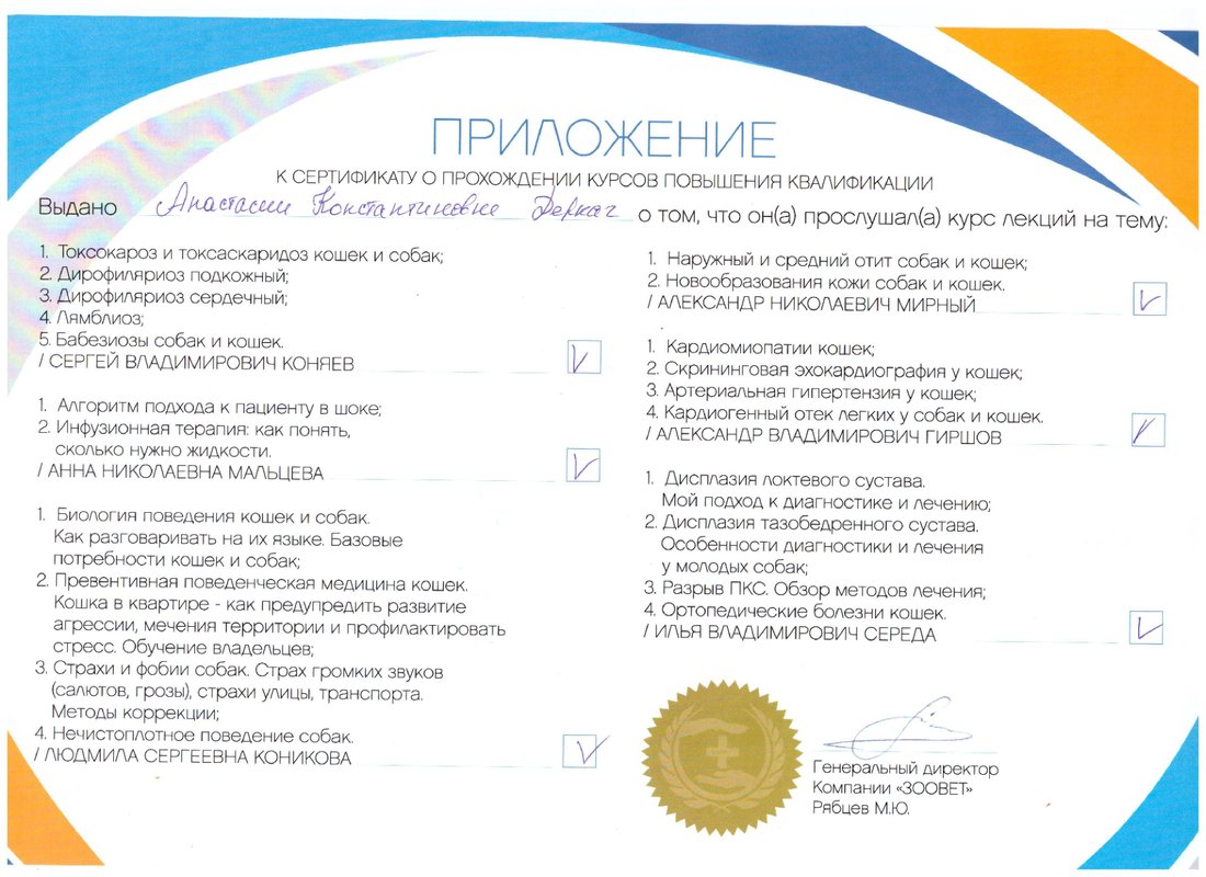 Документ или сертификат