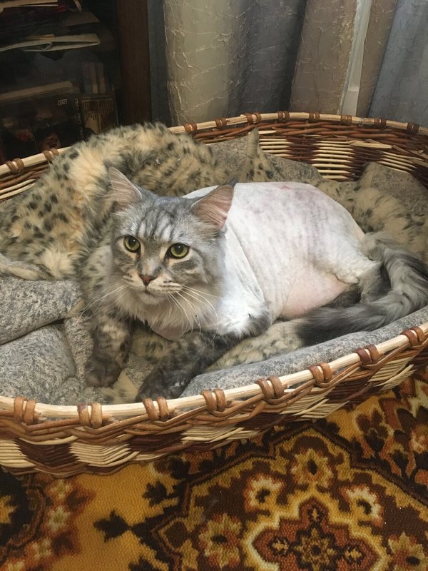 Фото врача