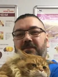 Фото врача Федотов Виталий Викторович