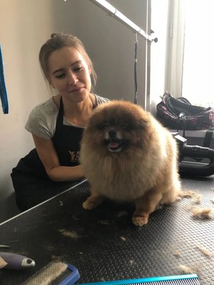 Фото врача Савчук Инна Андреевна