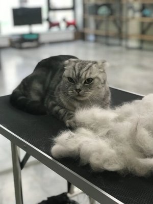 Фото врача Иванов Артём Олегович