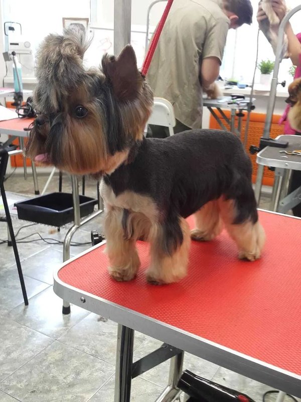 Фото врача
