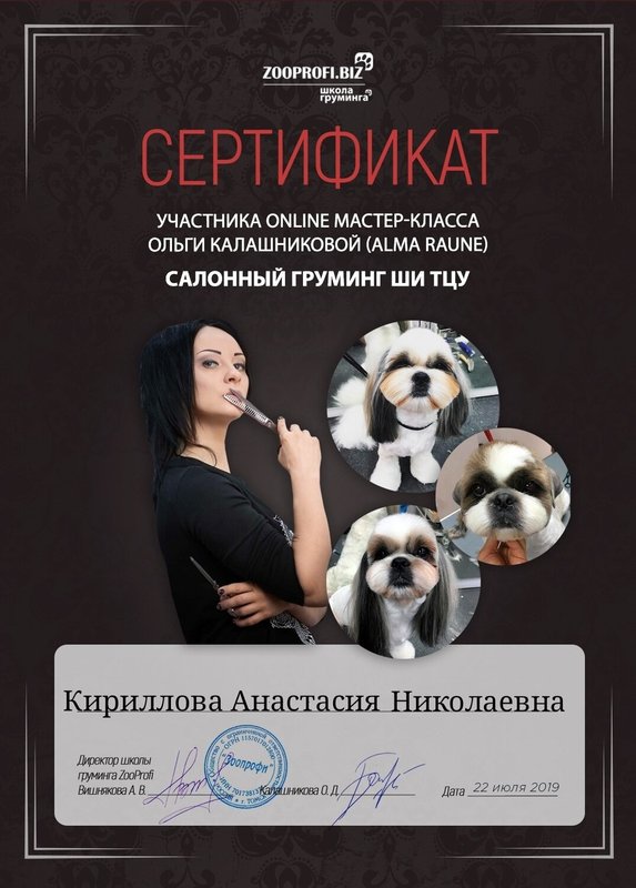Документ или сертификат
