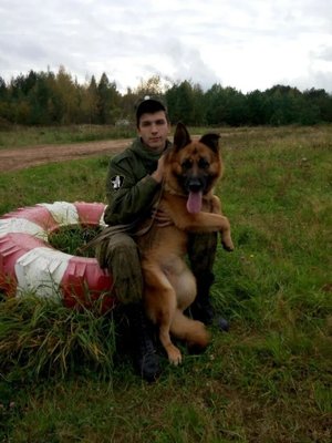 Фото врача Смекалов Виталий Олегович