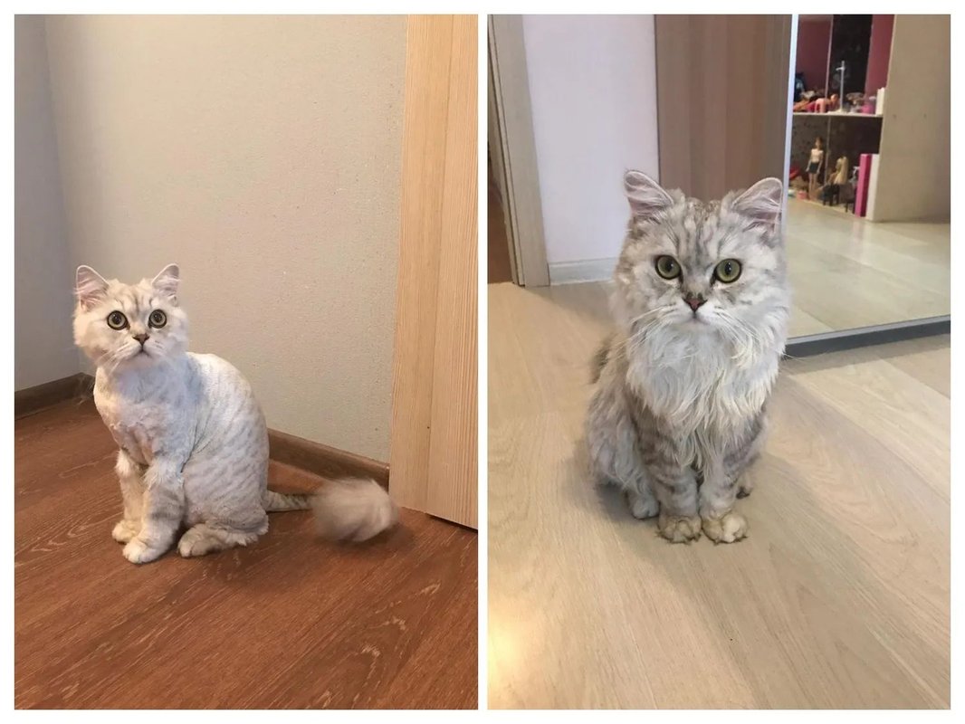 Фото врача