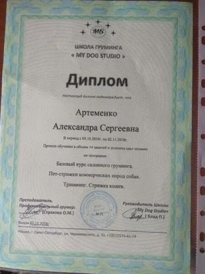Фото врача Артеменко Александра Сергеевна