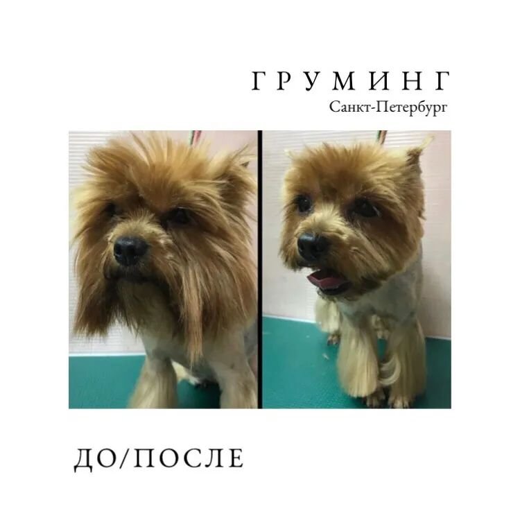 Фото врача