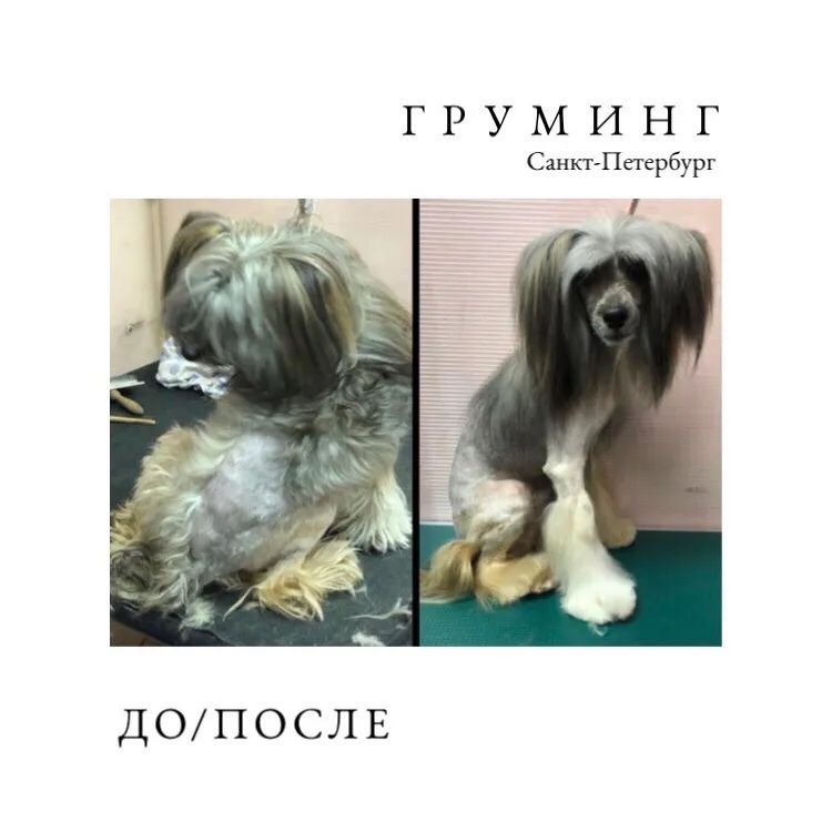 Фото врача