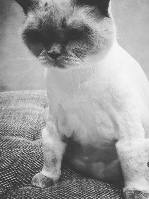 Фото врача Манова Яна Евгеньевна